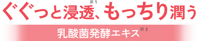 ググッと浸透、もっちり潤う。乳酸菌発酵エキス