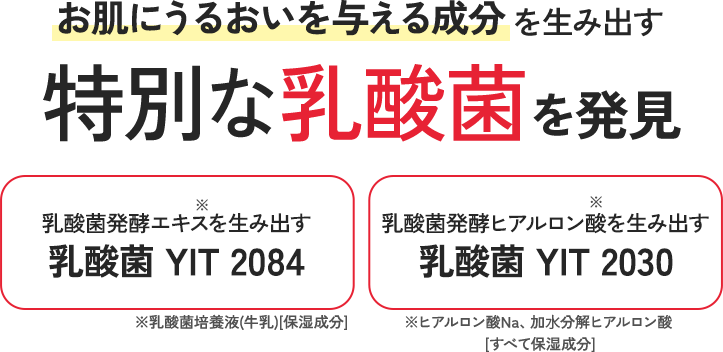 お肌に潤いを与える成分を生み出す特別な乳酸菌を発見。